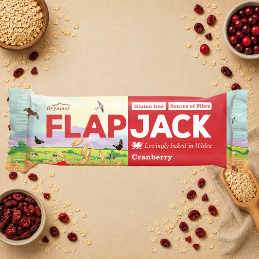Brynmor Cranberry Gluten Free Vegan Flapjack Oat Bar