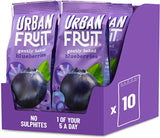 URBAN FRUIT - Blueberries